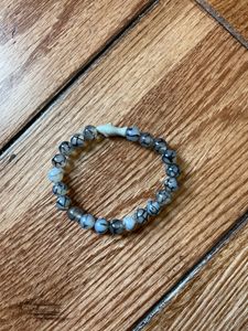 Wildlife Collections